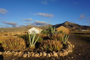 Fuerteventura, Landschaft